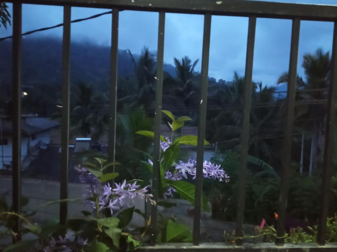 Wathsala Home Villa 埃拉 外观 照片